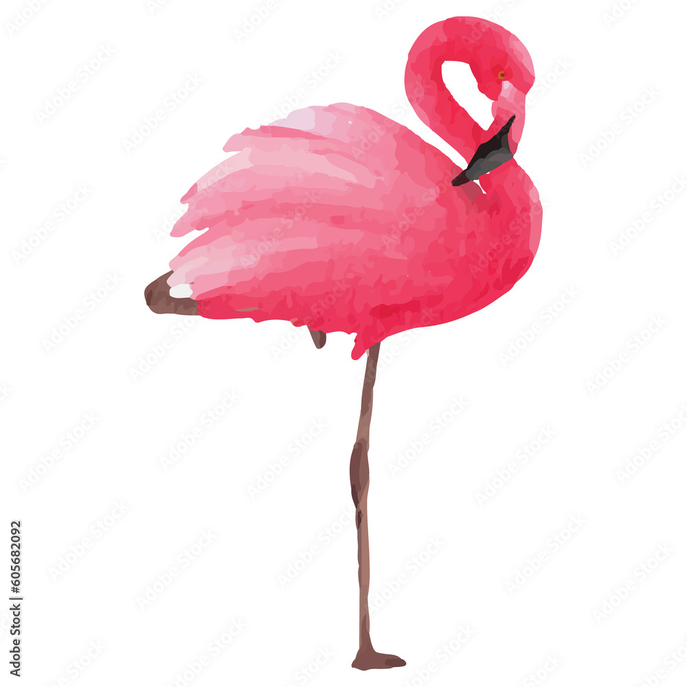 Pink flamingo Tropical Clip art Element Transparent Background Stock