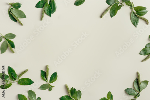 Minimal spring frame from tree branches with new green leaves, top view green twigs on beige, nature ornament framing. Botanical design photo, spring aesthetic layout from young plants