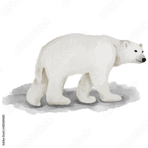Polar Bear Winter Animal Polar animal Clip art Element Transparent Background