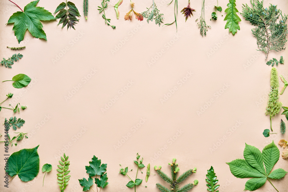 Green leaves border. Frame made of various plants and herbs with copy space for text Green leaves border. Frame made of various plants and herbs with copy space for text
