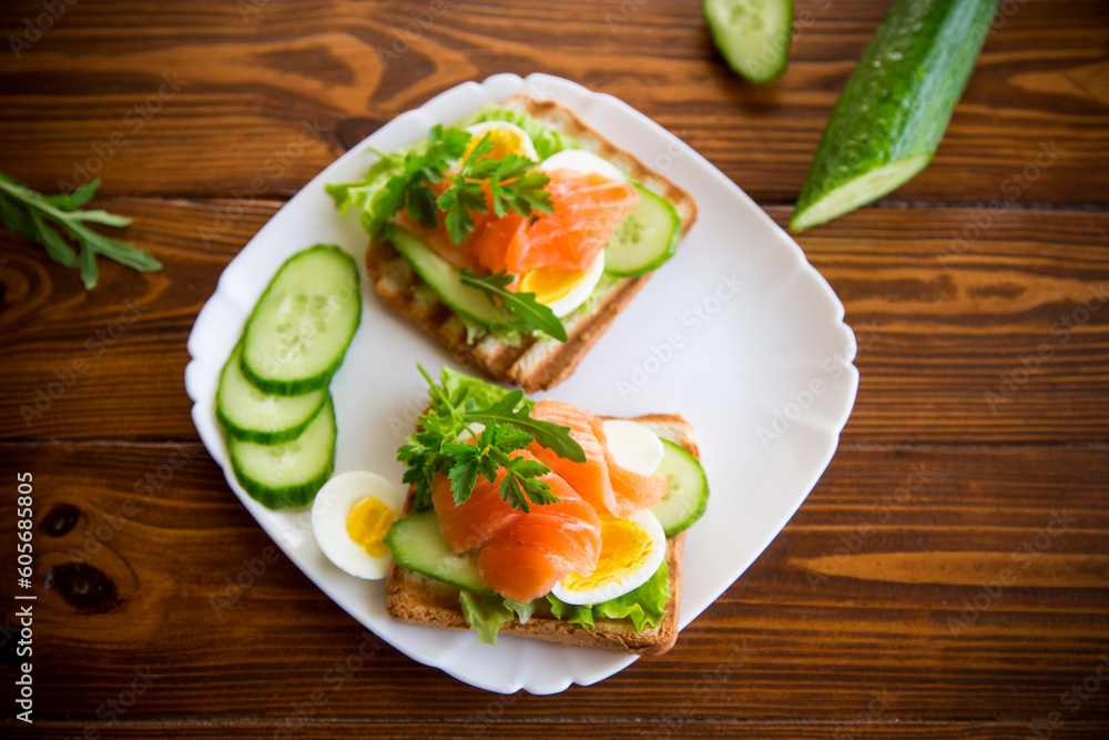fried toast with lettuce, egg, cucumbers and red fish in a plate. fried toast with lettuce, egg, cucumbers and red fish in a plate.