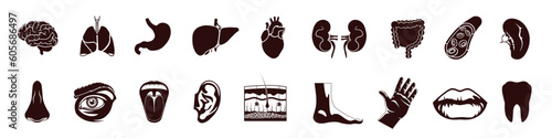 Human organs set. Human body anatomy organ icons. Silhouette icons.