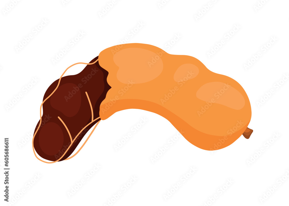Tamarind Fruit Half Opened Icon Cartoon Doodle Vector Illustration Tamarind Fruit Half Opened Icon Cartoon Doodle Vector Illustration