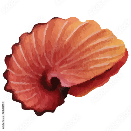 Shell Underwater Clip art Element Transparent Background