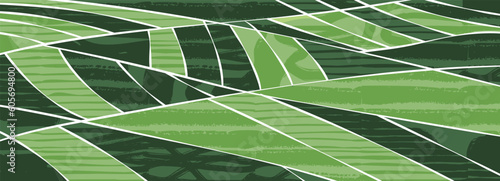 Green abstract rice field top view texture vector background. Nature pattern, eco illustration, countryside banner design. Agriculture horizontal landscape, ecological header layout, rural panorama