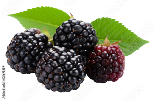 A bunch of bio blackberries with a green leaf. Isolated on a transparent background. KI.