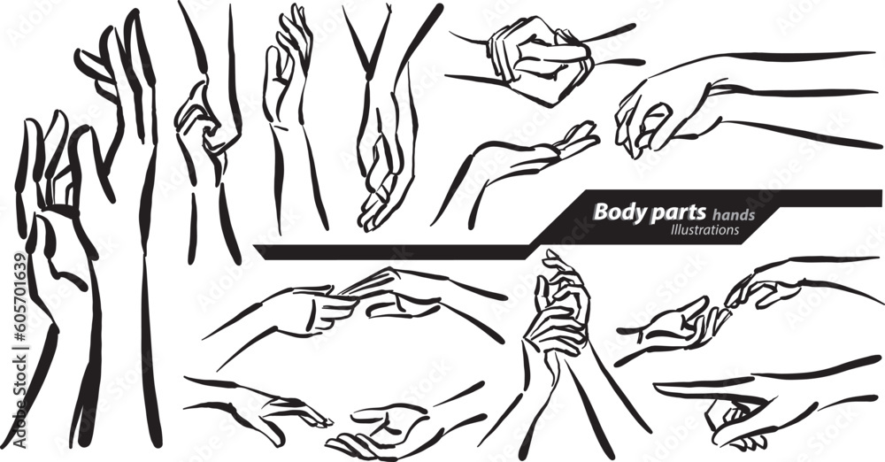 body parts hands doodle design drawing vector illustration