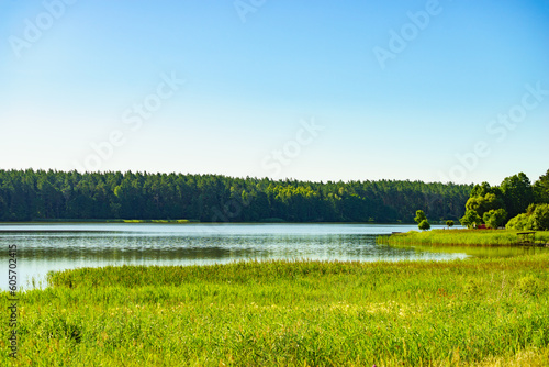 Lake with green reeds on Masuria, Poland