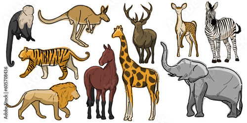 A vector pack of some animals