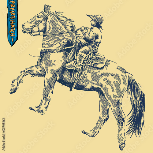 horse and kid rider on horse