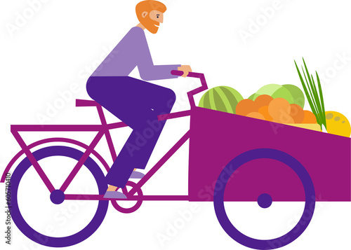 Man on cargobike carries fruits and vegetables from market. Rider on bakfiets on a shopping. Flat illustration