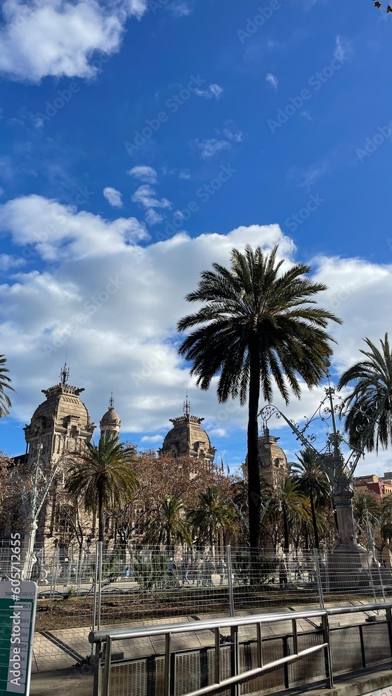 Obraz premium palm trees country