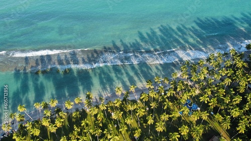 Praia dos Carneiros photo