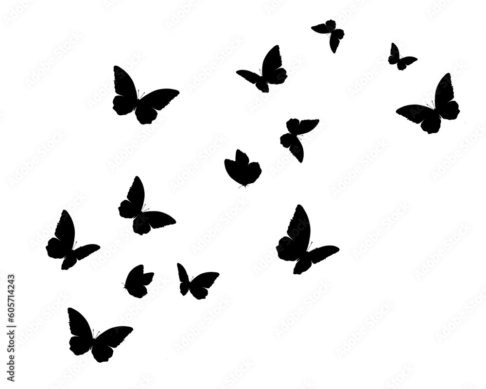 black butterfly hand drawn design - obrazy, fototapety, plakaty 