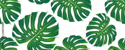 Seamless tropical floral background with monstera leaves.