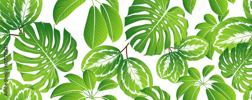 Seamless tropical summer pattern with exotic green leaves calathea and monstera.