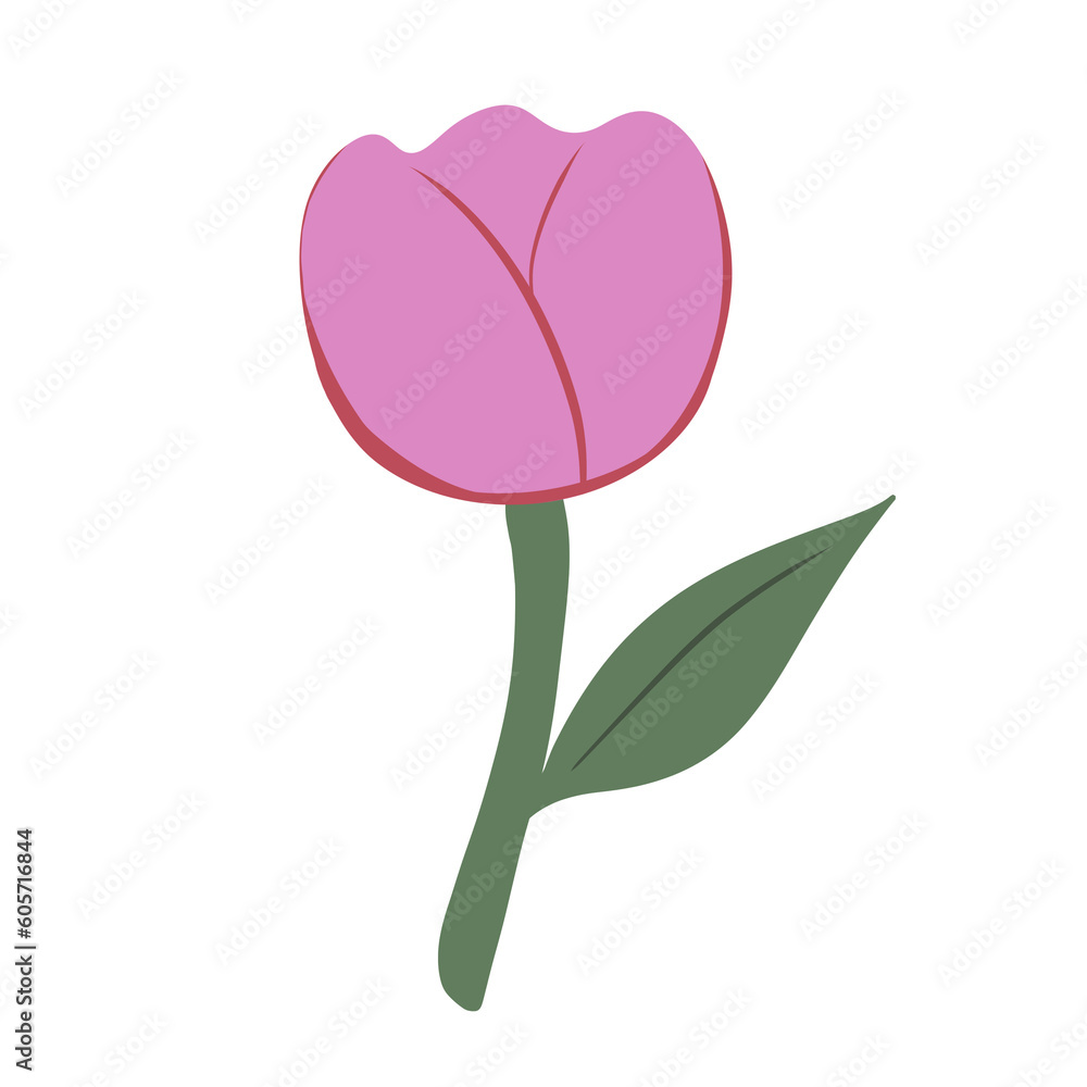 Tulip Tulip