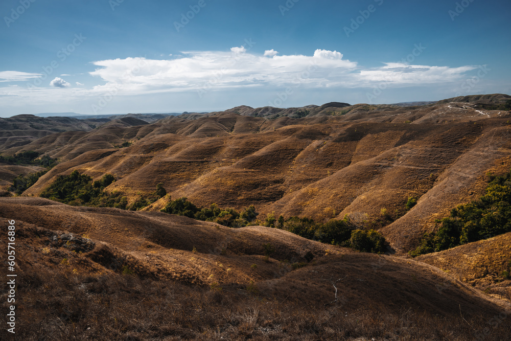 Fototapeta premium A beautiful view of indonesian paradise at Wairinding hills at Waingapu, East Sumba, East Nusa Tenggara, Indonesia.