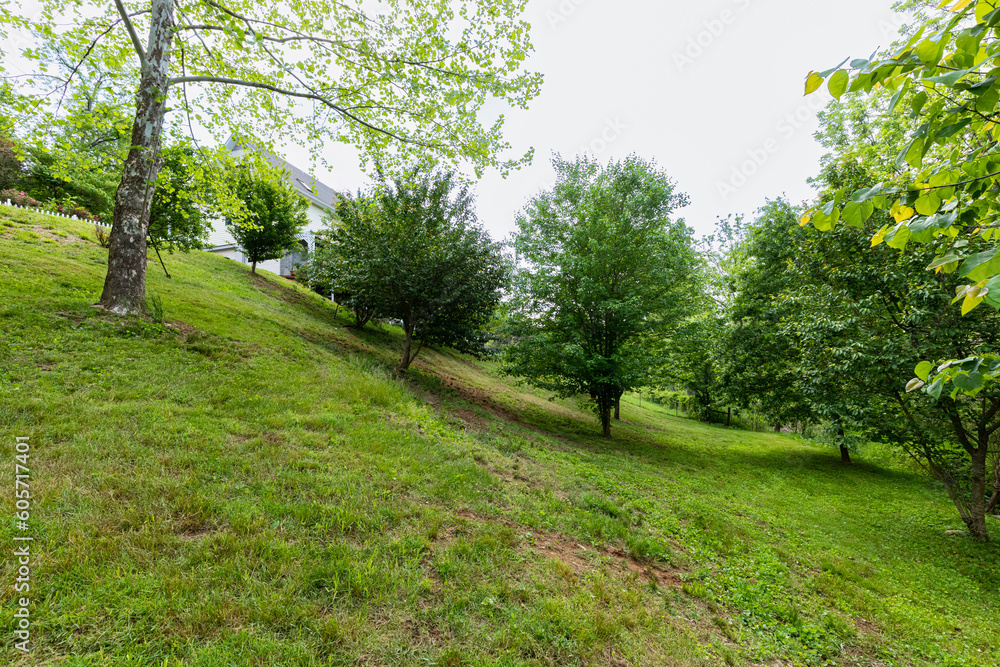 yard outdoor space wooded