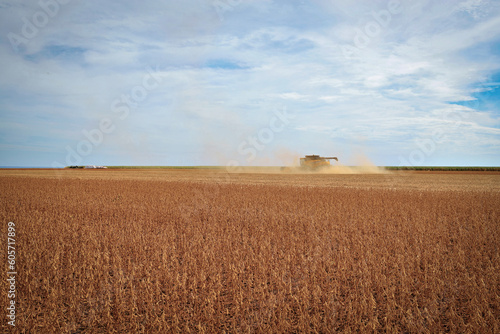 Maquina colhendo campo de soja