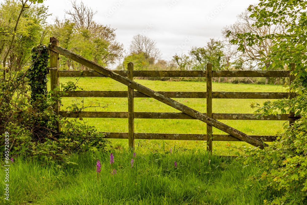 Gate fence on a french field in Normandy Gate fence on a french field in Normandy