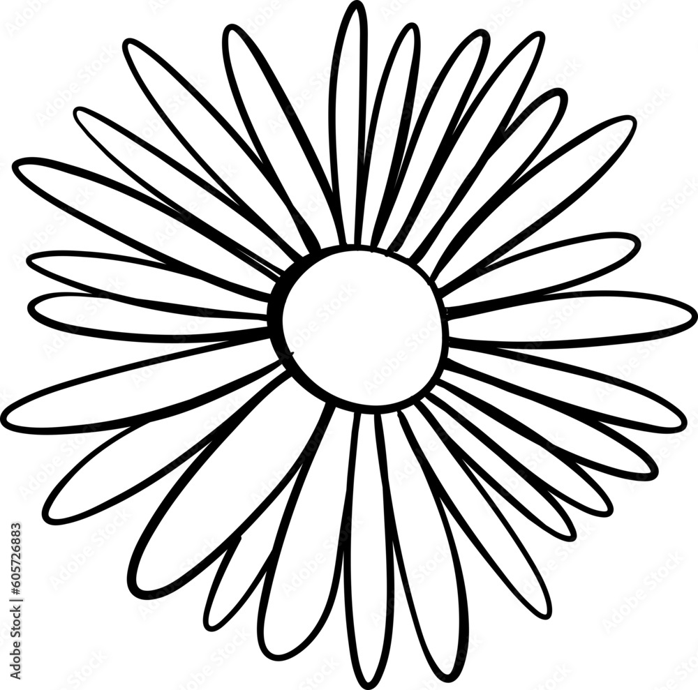 Late Summer Flower Illustration Late Summer Flower Illustration