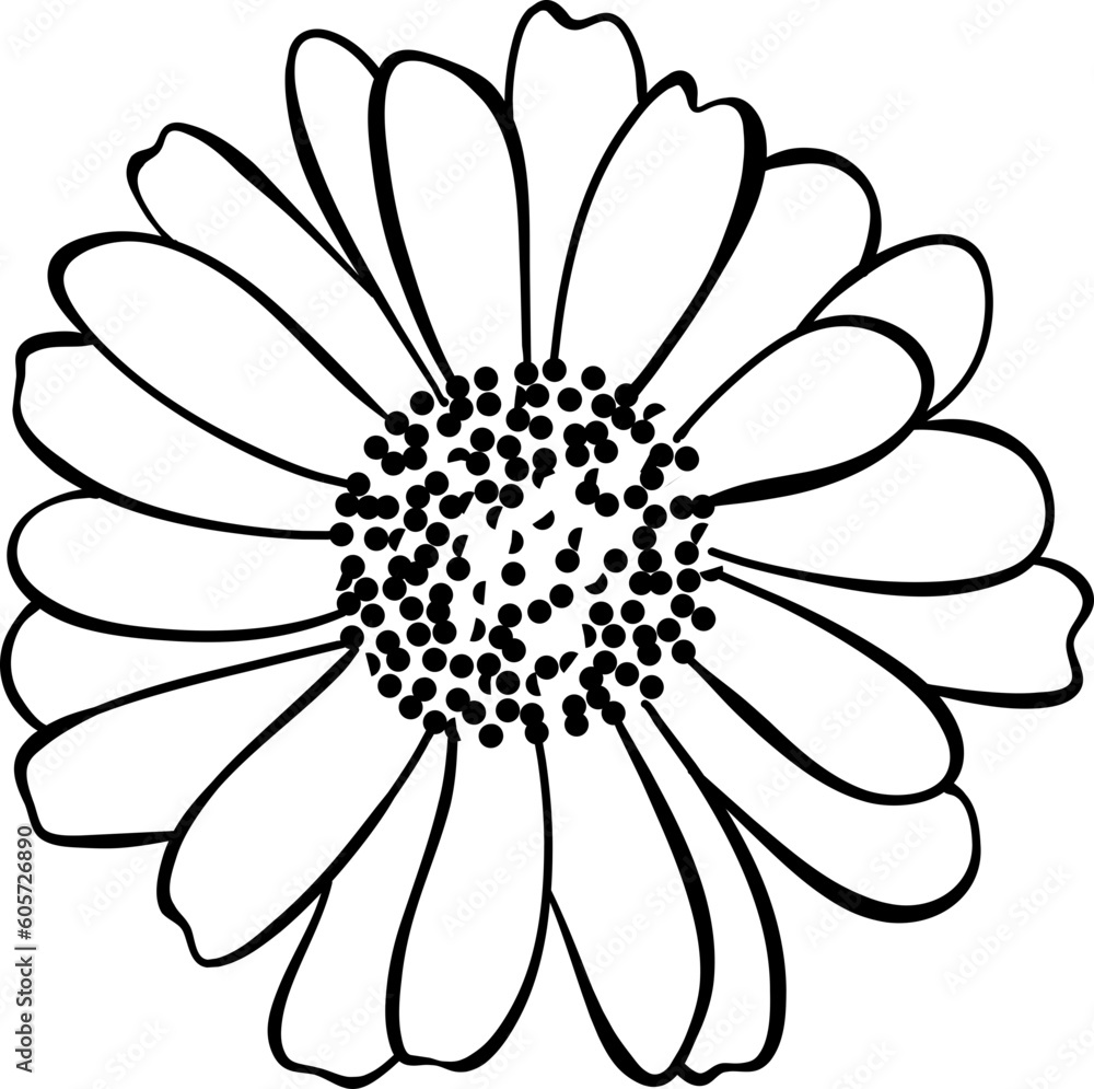 Late Summer Flower Illustration Sun Flower