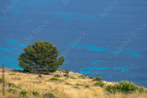 Crystal clear turquoise waters at Formentor Cape in Sierra de Tramontana, the cliffs of the mountains meets the Mediterranean Sea at the north of Majorca island.