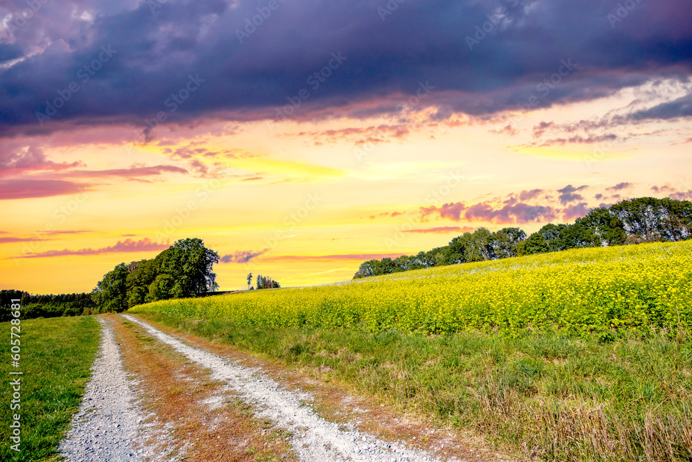 Obraz premium Feldweg, Wiese, Deutschland 
