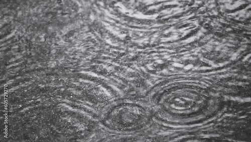 Gentle Rain Drops