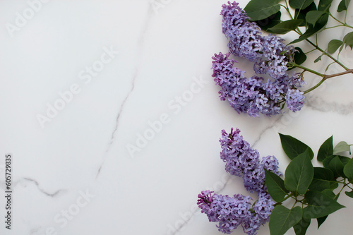 Beautiful floral background with lilac flowers and green leaves. Mother's Day, the concept of women's Day. Select a place for your congratulations. Composition of lilac