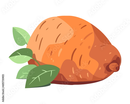 Fresh organic potato, ripe food