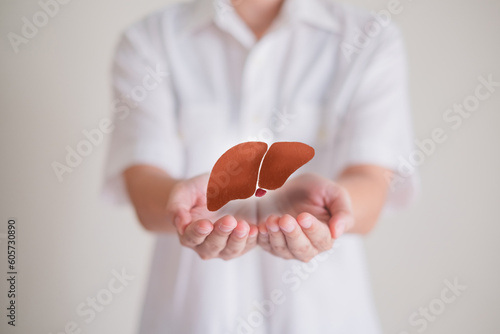 Hand's holding liver, concept of liver and organ donation or charity, hospital, anatomy, diagnosis, cancer, disease donor support, health care of life and family, insurance background with copy space.
