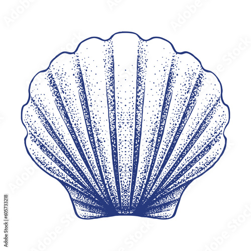 Sea Shell Hand Drawn Illustration
