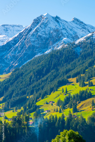Beautiful Village nearby mountain  Switzerland