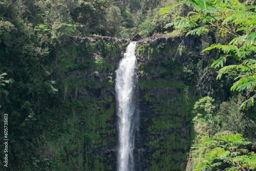 Scenic jungle waterfall in Hilo Hawaii. 