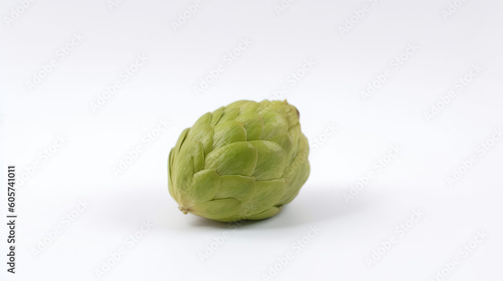 Fototapeta premium Close shot of hops on white background.