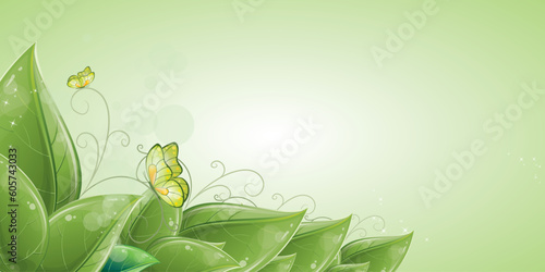 Green background with Leaves and butterfly. Abstract nature background vector illustration