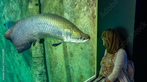 Huge catfish silurus in fish tank looking at a tourist woman who looks at him admiring his size. photo