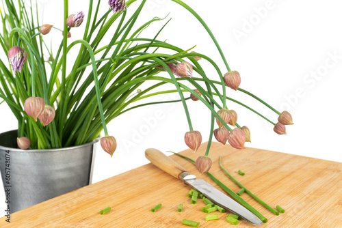 Bunch of fresh blooming chives in a container and chopped pieces with knife on wooden board