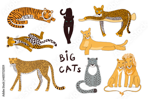 Big cats isolated collection, color. Lion, tiger, leopard, jaguar, panther, cougar, cheetah. Hand drawn vector illustration. Line art style design. Animal characters, wildlife clipart elements