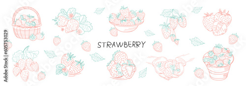 Drawing of wild berries. Hand drawn vintage vector frame. Summer fruit set of strawberries. Detailed organic food template for menu, jam label, tea banner