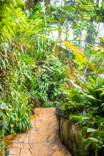 Interior of the giant greenhouse with tropic plants in Botanic Garden  Prague  Europe