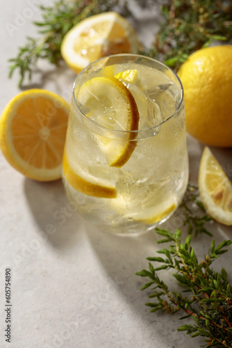 Cocktail Gin-tonic with ice, lemon, and juniper branches.