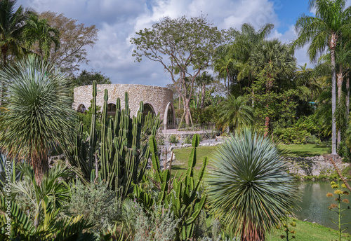 A Vibrant Garden of Growth and Palms. A vibrant botanical garden with lush vegetation and flowers set against a bright blue sky filled with clouds. Xerophile garden. photo