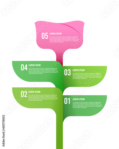 Infographic pink flower and flower petals 5 steps to success. Vector illustrations.