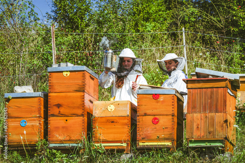 Beekeeper and beehives