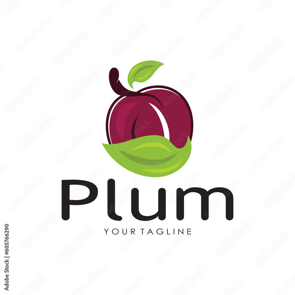 Plum Schommel Set 2-in-1 Turkoois