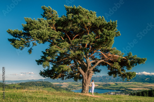 Pregnant woman in blue dress posing under the tree in summer country