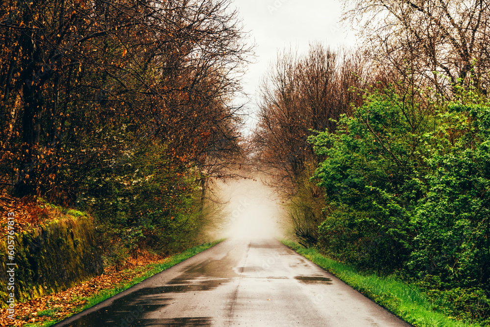 Obraz premium OLYMPUS DIGITAL CAMERA